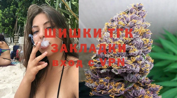 крисы Армянск