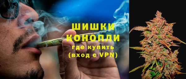 крисы Армянск