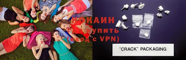 крисы Армянск