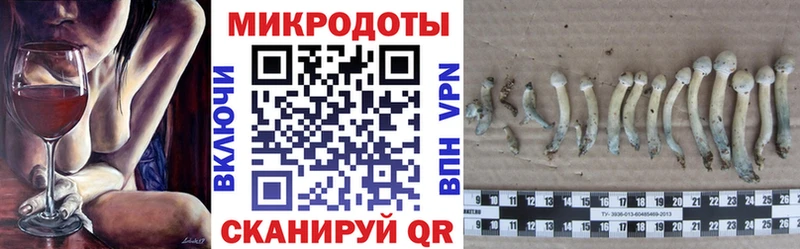 Галлюциногенные грибы Psilocybine cubensis  сколько стоит  Красноярск 